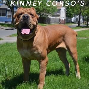 Meet your Posher, Gene